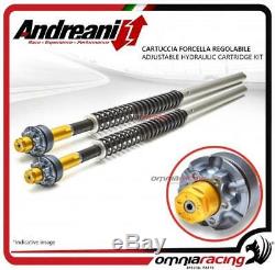 Andreani Adjustable Forklift Yamaha T Max 530 2015