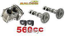 Double Cylindre Power Cam Malossi Yamaha T-max Tmax 500