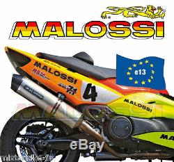 Full Exhaust Malossi Maxi Wild Lion Yamaha T-max 500 From 2008 To 2011
