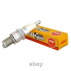 Maintenance / Servicing Yamaha / Tmax 500 2008 to 2011 Oil Filters Belt Spark Plug
