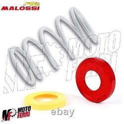 Mf1572 White Contrast Spring + Malossi Torsion For Yamaha Tmax 500 530