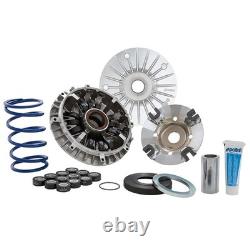 POLINI 12-Roller Evolution 3 Variator Yamaha Tmax 500 01-03 Maxi Speed Gra