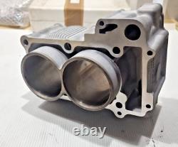 3115423 Bi Cylindre 4 Stroke Ø 70 H2O Malossi pour Yamaha T Max 12-17