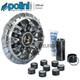 Nouveau Variateur Polini 8 Rouleaux Complet Hi-speed Evo Yamaha Tmax T-max 530